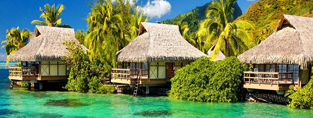 5Ҽ̖ٴδʳ΄(w)ꖽ(jng)N̸Z